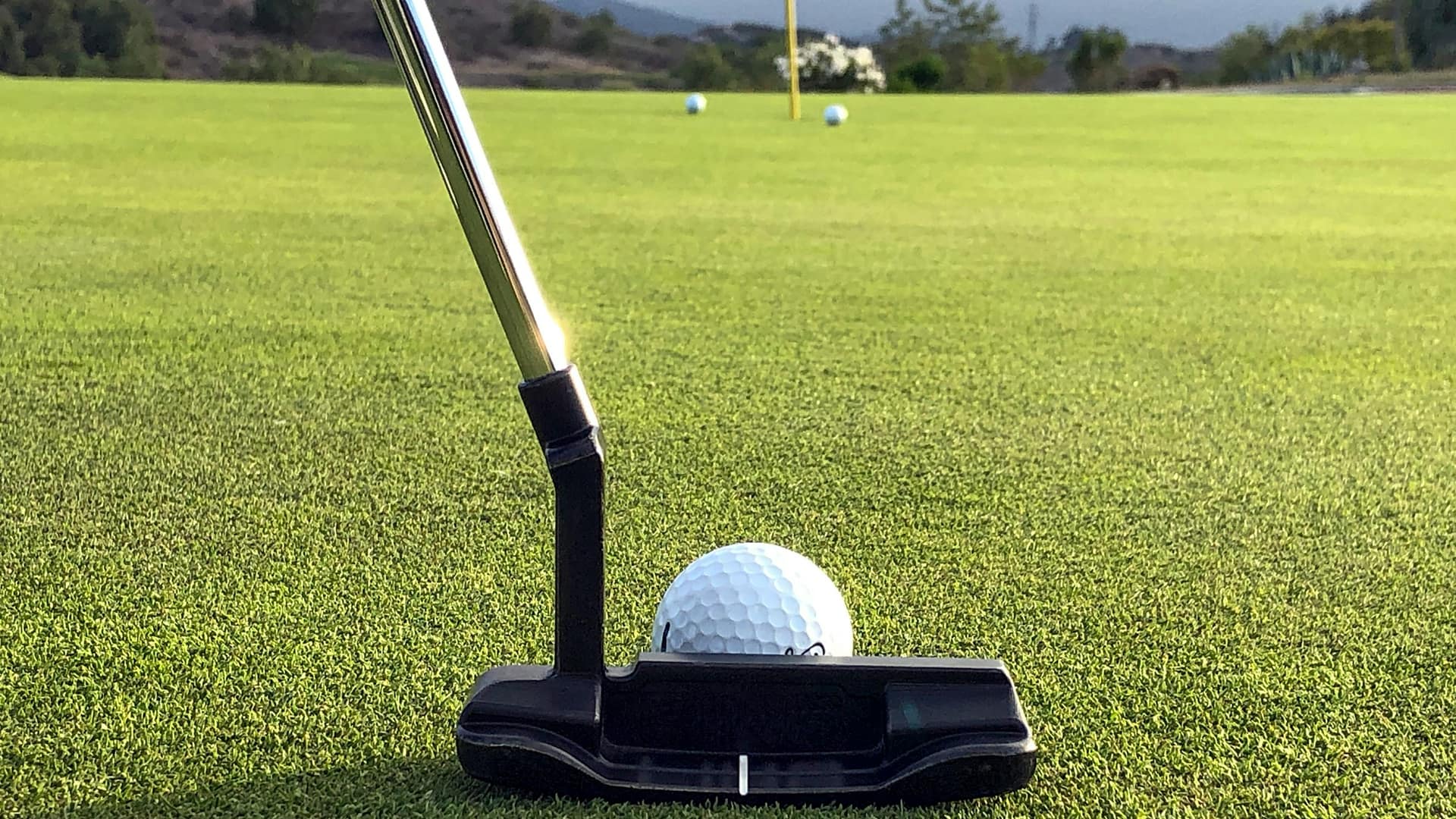 A putter lined up behind a golf ball on a short-cut green